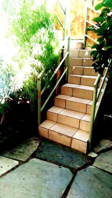 Eco Jatoba Natureza Conforto E Paz